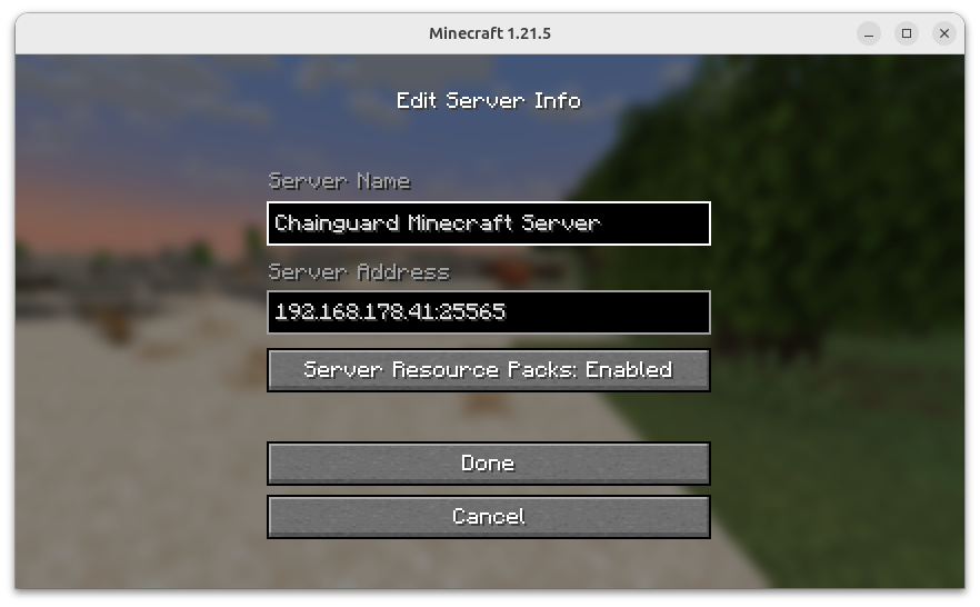 Minecraft Java client - setting up a new server
